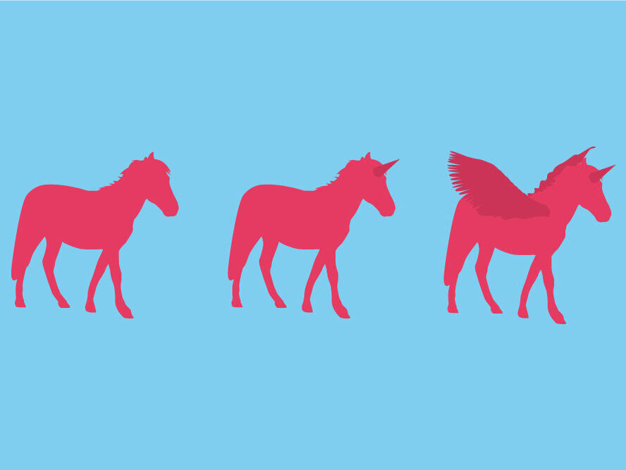 Die Evolutions-Stufen einer Website